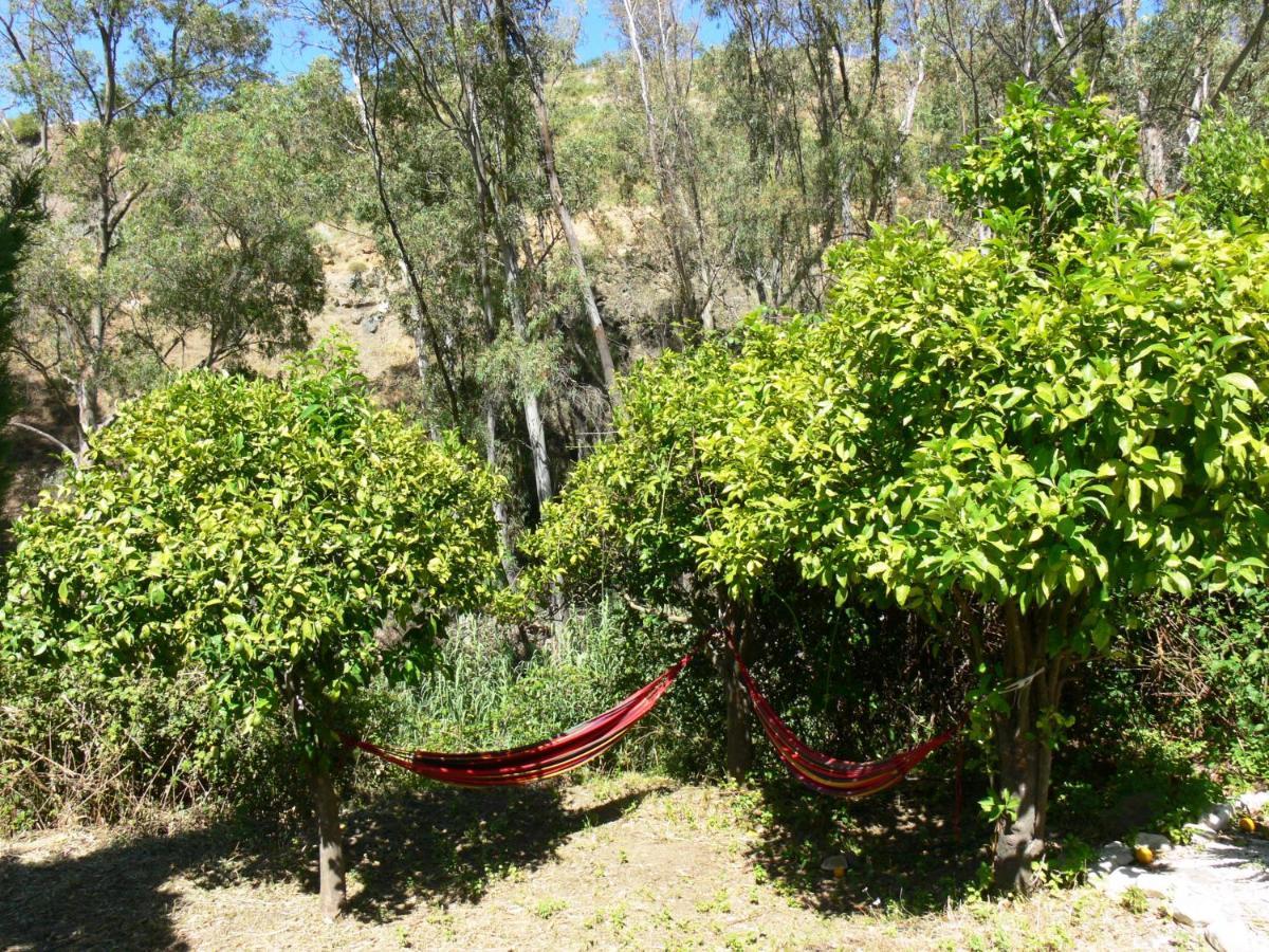 Vegan Pereila Bed and breakfast *